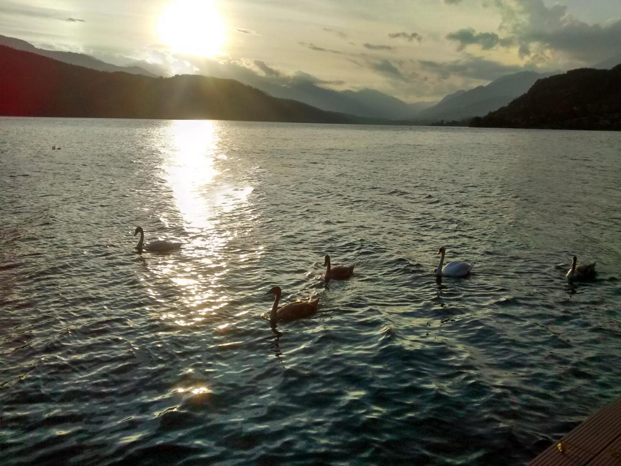 Ferienwohnungen Fischerhaus - Direkt Am See Мильстат Экстерьер фото