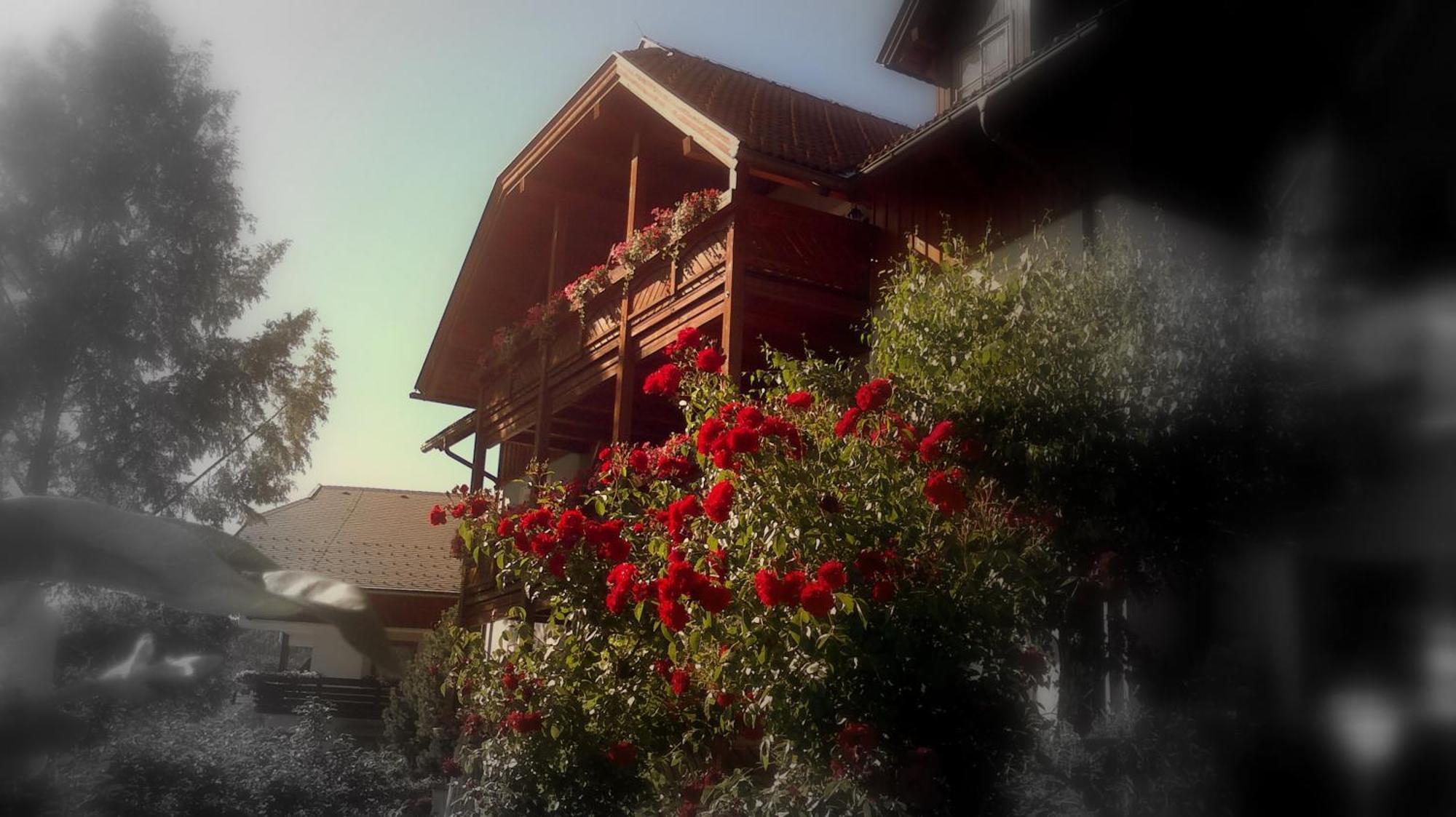 Ferienwohnungen Fischerhaus - Direkt Am See Мильстат Экстерьер фото